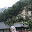 스테이무릉도원 이미지