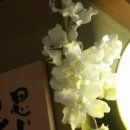 한교맛집 이미지