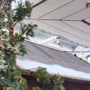 여의도 더현대백화점 이미지