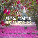 대절농장 | 제주도 택시투어 가격 제주 택시대절 코스 솔직 후기