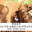 정담상조 이미지