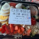 내돈내산 대전 샐러드 정기배송 다르게 담다 정기구독 후기
