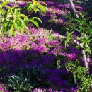 지동약수터 이미지