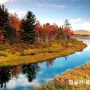 1514호 Daum카페