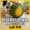 삼지유통 | 좋은 수박 고르는법, 통통 두드리는 소리가 제일 못 믿을 신호였어요
