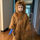 하늬동물병원 | 2월 가지마..