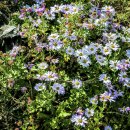 도화헌미술관 이미지