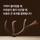 망원경희한의원 이미지