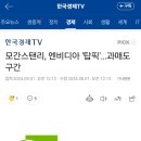 모건스탠리,엔비디아 탑픽 '과매도 구간' 이미지