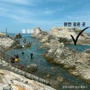 지에스25 삼척고점 | 강원도 삼척 장호항 성수기 평일 스노클링 후기 (주차, 샤워, 평상, 꿀팁)