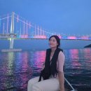 부산리얼투어 | 요트와 요트투어 부산 필수 놀거리 가격 주차 후기까지 총정리