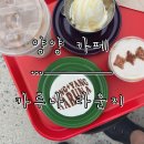 카루나 라운지 | [양양 카페] 바다가 보이는 와인과 카페를 동시에 즐길 수 있는 ‘카루나 라운지’ 후기.