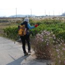 백호문학관 주차장 이미지