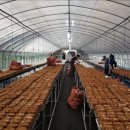 포유농장 이미지