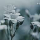 화성실버하우스 이미지