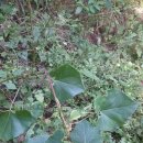 태공낚시 이미지