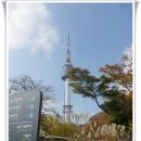 남산로 이미지