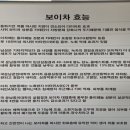 보이차맹해차관 이미지