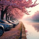 복하천 체육공원 야구장 이미지