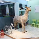 위례밝은아이소아청소년과의원 이미지