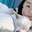 이리온애견펜션 이미지