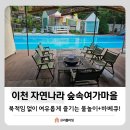 (주)야채마을 | 이천 자연나라 숲속여가마을 물놀이+바베큐 내돈내산 후기!