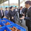 무릉도원면-25 이미지