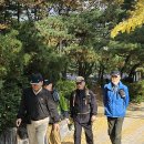 남산둘레길 (35 매화산악회 정기산행 - 2024. 11. 5) 이미지