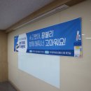 팜블리네 이미지