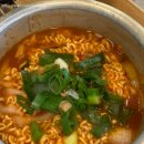 코코애견 이미지