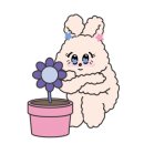 주성메디칼 이미지