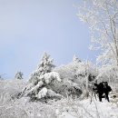 1월31일(일요일) 덕유산(전북/무주) 설화의 명소.. 눈꽃산행 이미지