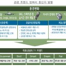 한국 관광산업의 업그레이드 전략 이미지