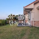 복부인공인중개사사무소 이미지