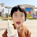 에버랜드 산리오 축제 후기 팝콘통 2개구매, 퍼레이드 꿀팁, 식당 이용기