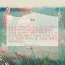 땅별꿈 | [서평단 후기] 야생초 마음