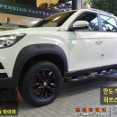 다이나믹스포츠 이미지