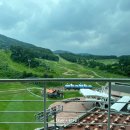 준기목장 | 웰리힐리파크 워터플래닛, 곤돌라, 루지, 양떼목장 후기