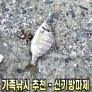 화태여자경로당 | 여수 신기방파제 낚시포인트 공개. 가족낚시로 초보자도 잡았다!