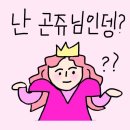 고생 끝 힐링 시작,