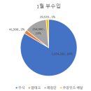 1월 한달 해피욤은 부수입으로 얼마나 벌었을까?