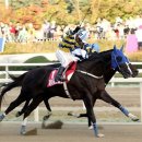 삼관목장 이미지