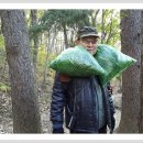 갑진농장 이미지