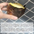 싱싱꿀청과 | 고랭지장터 꿀청고구마 맛있는 베로니카 고구마 후기