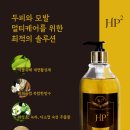 에이치피투