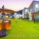 골드애견 네이버블로그