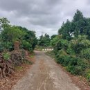 고성리-11 이미지