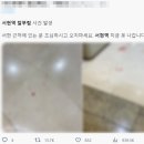 분당서현1-D-3 이미지