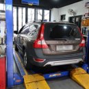 하이카동백점 이미지