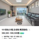 씨그넷풀스테이 | 남해애견풀빌라 씨스테이엔, 댕댕이랑 힐링한 솔직 후기